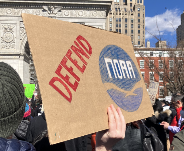 Protester holding a homemade "Defend NOAA" sign in Washington Square. Credit: Gavin Schmidt